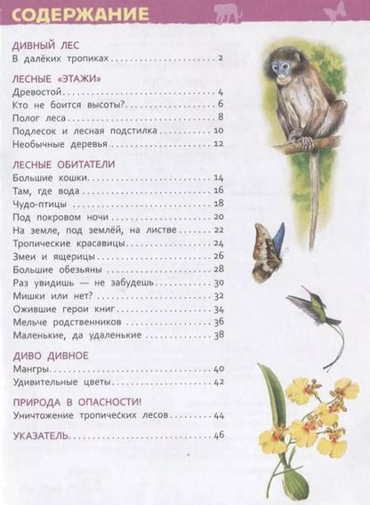 Фотография книги "Лариса Клюшник: Джунгли"