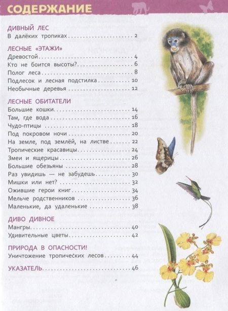 Фотография книги "Лариса Клюшник: Джунгли"