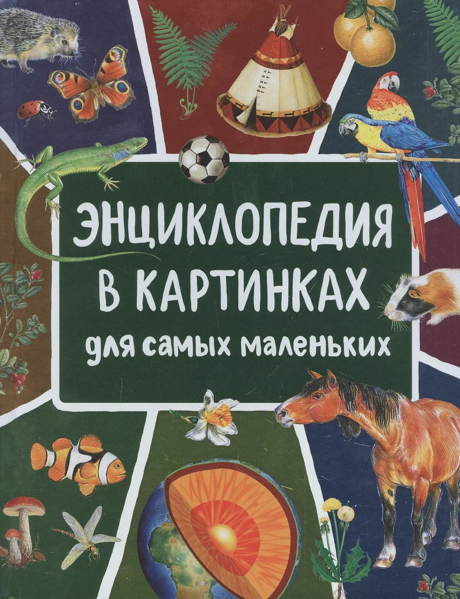 Обложка книги "Лариса Клюшник: Энциклопедия в картинках для самых маленьких"