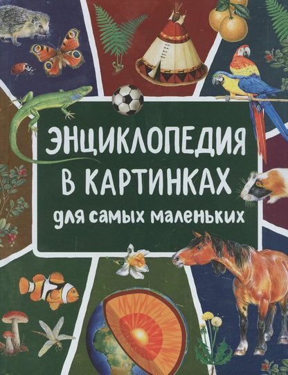 Обложка книги "Лариса Клюшник: Энциклопедия в картинках для самых маленьких"