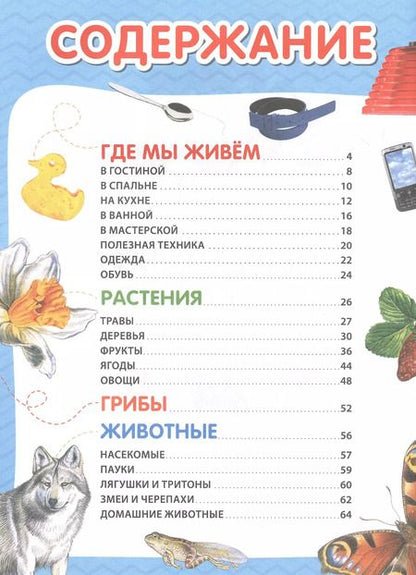 Фотография книги "Лариса Клюшник: Энциклопедия в картинках для самых маленьких"