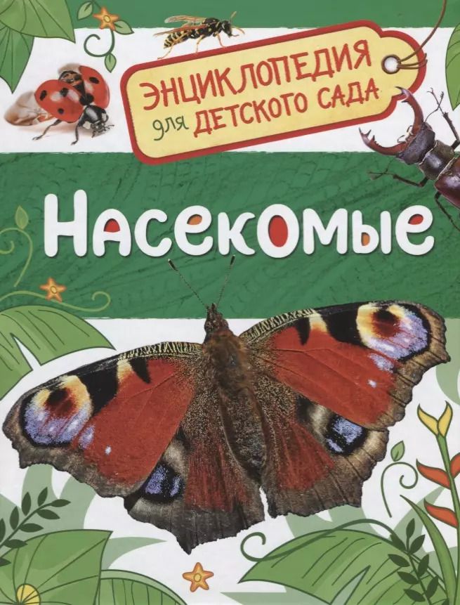 Обложка книги "Лариса Клюшник: Насекомые. Энциклопедия для детского сада"