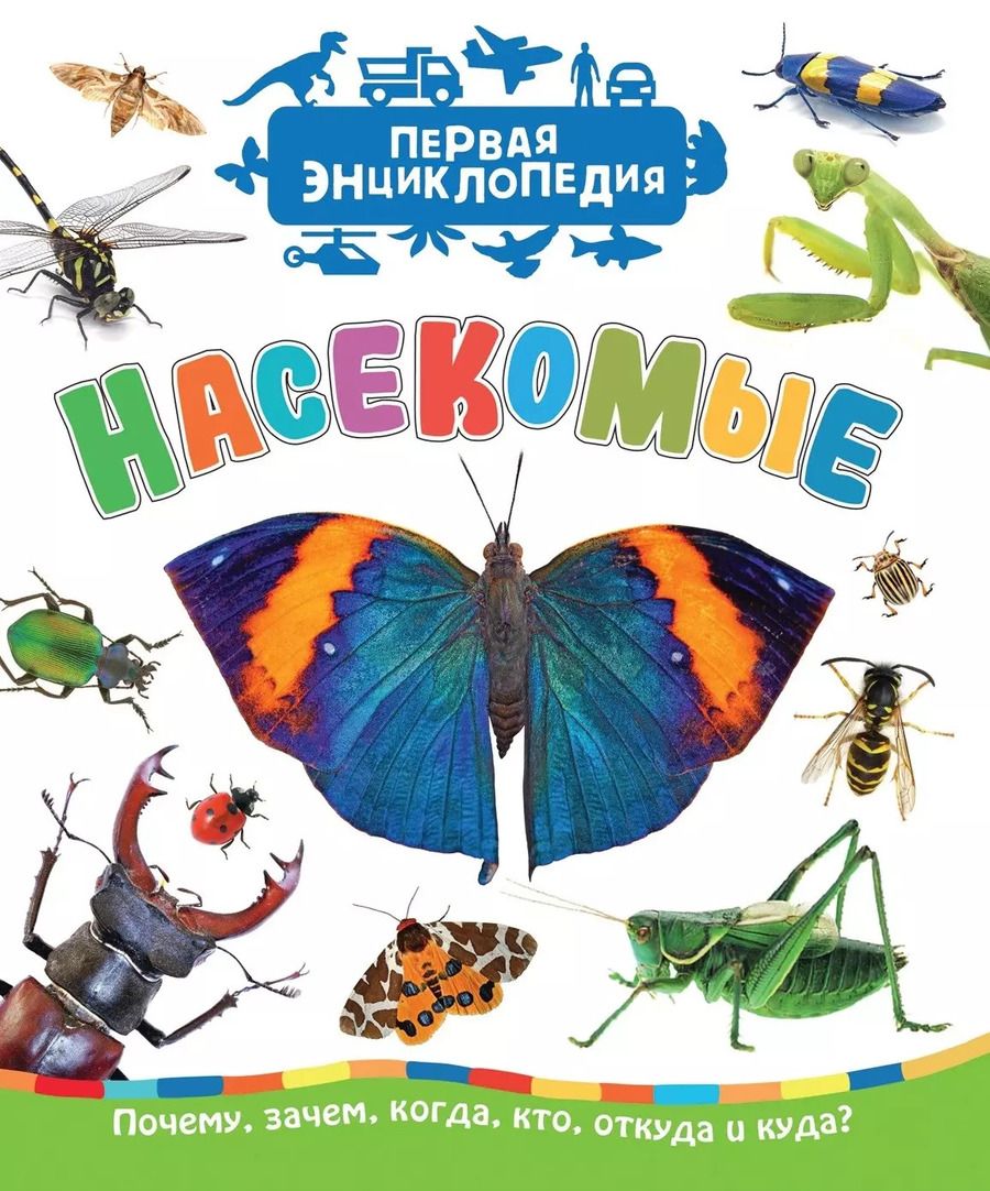 Обложка книги "Лариса Клюшник: Насекомые"