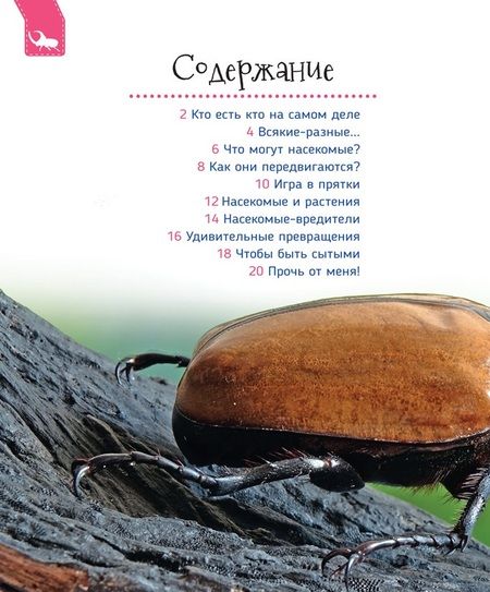 Фотография книги "Лариса Клюшник: Насекомые"