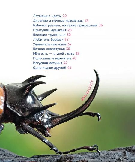 Фотография книги "Лариса Клюшник: Насекомые"