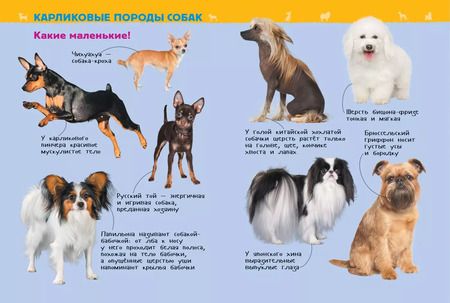 Фотография книги "Лариса Клюшник: Собаки и щенки. Энциклопедия для детского сада"