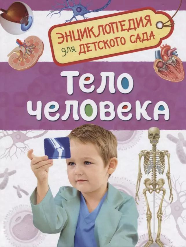 Обложка книги "Лариса Клюшник: Тело человека. Энциклопедия для детского сада"