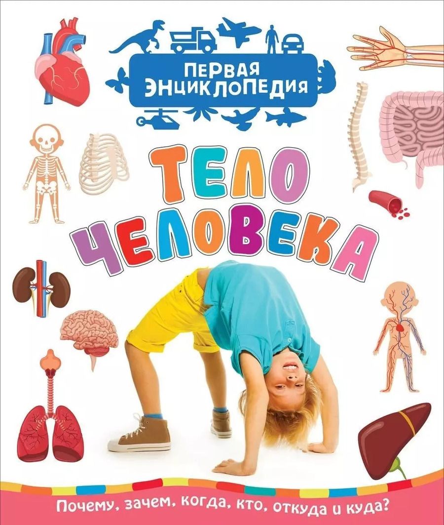 Обложка книги "Лариса Клюшник: Тело человека (Первая энциклопедия)"