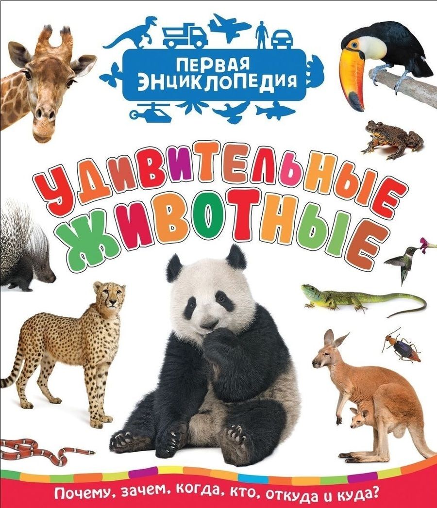 Обложка книги "Лариса Клюшник: Удивительные животные (Первая энциклопедия)"