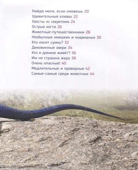 Фотография книги "Лариса Клюшник: Удивительные животные (Первая энциклопедия)"