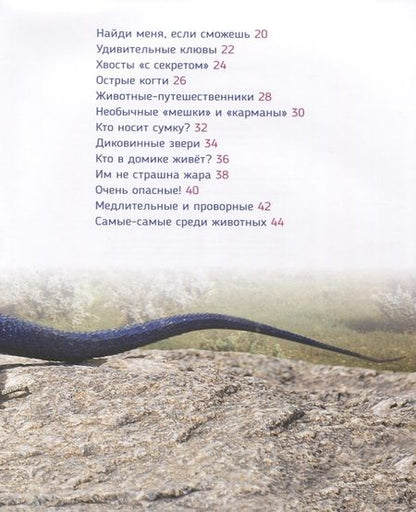 Фотография книги "Лариса Клюшник: Удивительные животные (Первая энциклопедия)"
