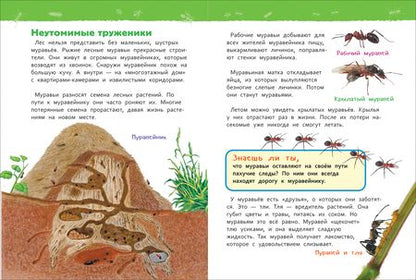 Фотография книги "Лариса Клюшник: В лесу"