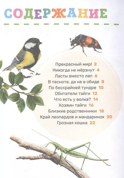 Фотография книги "Лариса Клюшник: Животные"