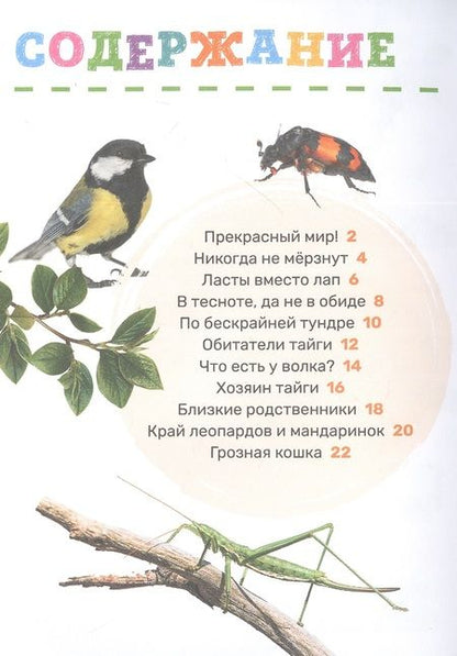 Фотография книги "Лариса Клюшник: Животные"