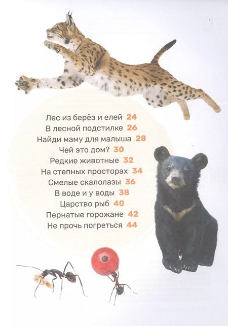 Фотография книги "Лариса Клюшник: Животные"