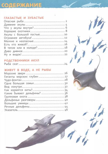 Фотография книги "Лариса Попова: Акулы, киты и дельфины. Энциклопедия для детского сада"