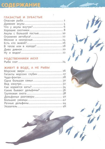 Фотография книги "Лариса Попова: Акулы, киты и дельфины. Энциклопедия для детского сада"