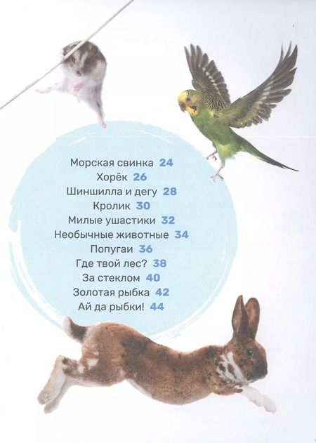 Фотография книги "Лариса Попова: Домашние питомцы"