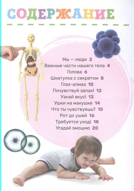 Фотография книги "Лариса Попова: Тело человека"