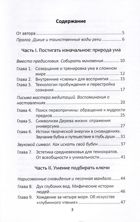 Фотография книги "Лариса Славная: Дикая река. Творчество и духовный поиск: вдохновение в созерцании и сновидениях"