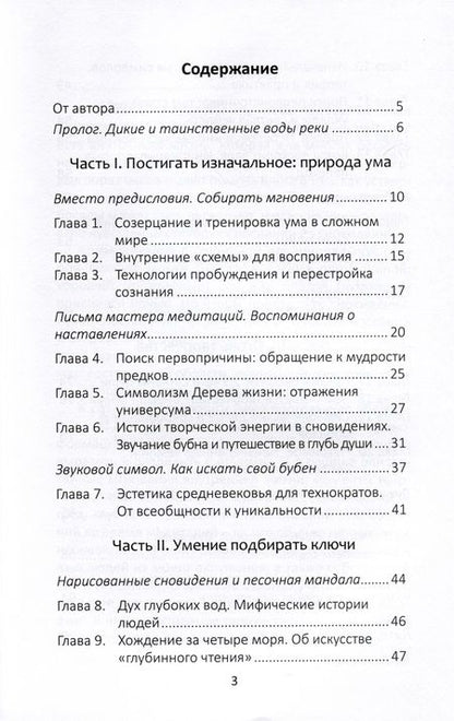Фотография книги "Лариса Славная: Дикая река. Творчество и духовный поиск: вдохновение в созерцании и сновидениях"
