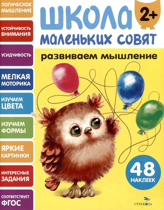 Обложка книги "Лариса Викторовна: Развиваем мышление. 48 наклеек"