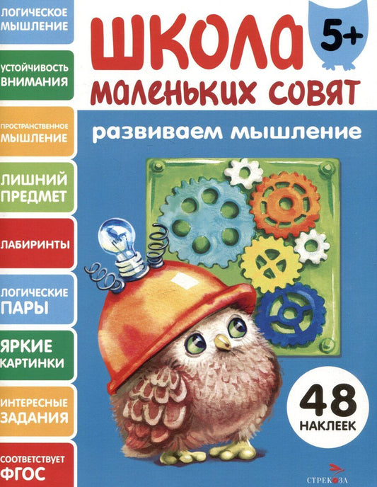 Обложка книги "Лариса Викторовна: Развиваем мышление. 48 наклеек"