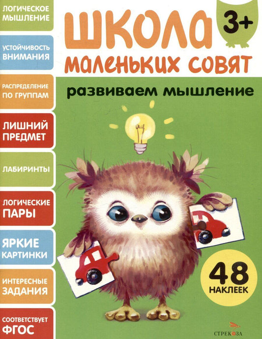 Обложка книги "Лариса Викторовна: Развиваем мышление. 48 наклеек"