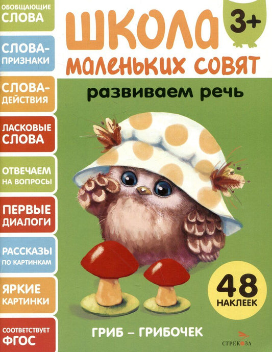 Обложка книги "Лариса Викторовна: Развиваем речь. 48 наклеек"