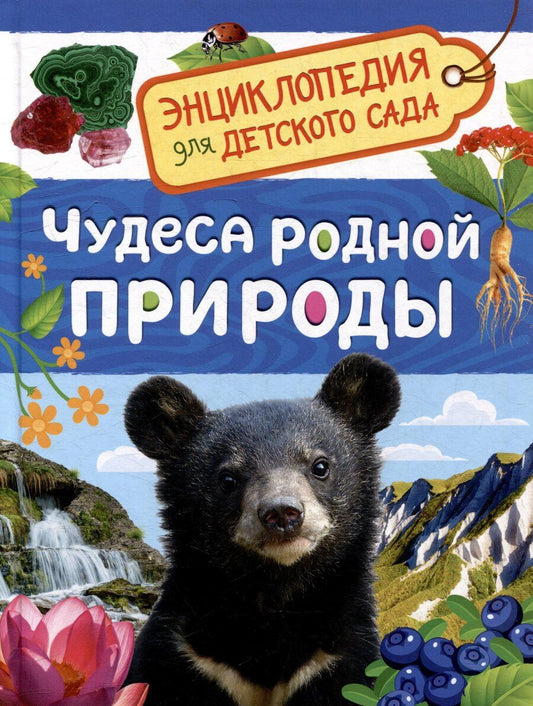 Обложка книги "Лариса Владимировна: Энциклопедия для детского сада. Чудеса родной природы"
