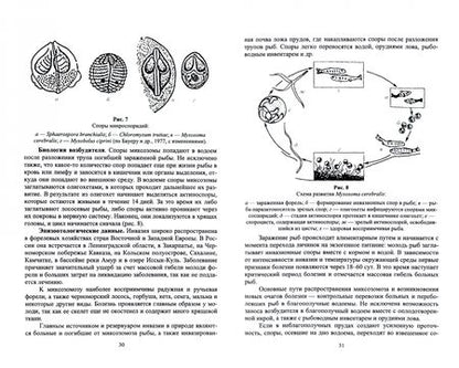 Фотография книги "Латыпов, Кириллов, Тимербаева: Паразитарные болезни рыб.Учебное пособие для вузов"