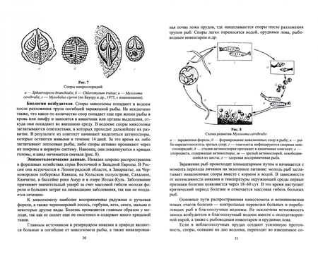 Фотография книги "Латыпов, Кириллов, Тимербаева: Паразитарные болезни рыб.Учебное пособие для вузов"