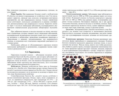 Фотография книги "Латыпов, Тимербаева, Кириллов: Болезни и вредители медоносных пчел. Учебное пособие для СПО"
