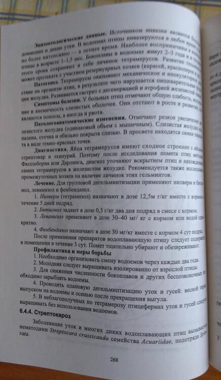 Фотография книги "Латыпов, Тимербаева, Кириллов: Паразитология и инвазионные болезни животных. Учебник"
