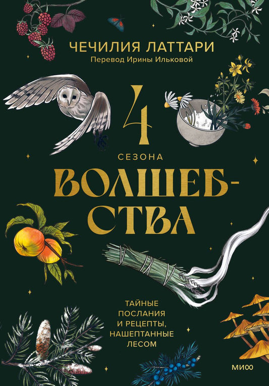 Обложка книги "Латтари: Четыре сезона волшебства. Тайные послания и рецепты, нашептанные лесом"