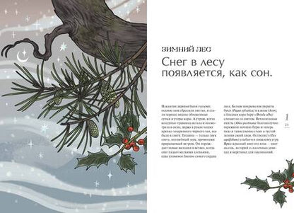 Фотография книги "Латтари: Четыре сезона волшебства. Тайные послания и рецепты, нашептанные лесом"