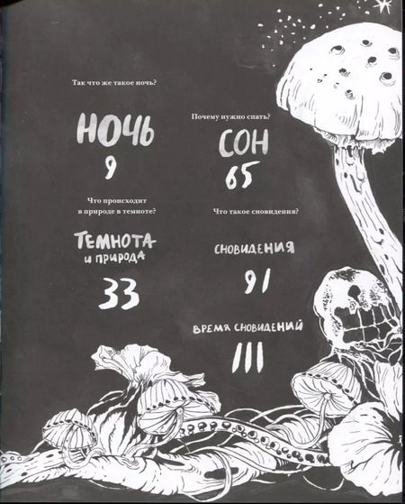 Фотография книги "Лаура Эртимо: Ночь. Книга о сне и тайнах темноты"
