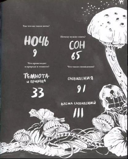 Фотография книги "Лаура Эртимо: Ночь. Книга о сне и тайнах темноты"