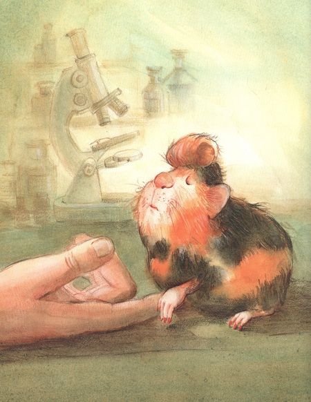 Фотография книги "Лазаренская: Доктор Скрипка"