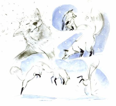 Фотография книги "Ле: Белый лис"