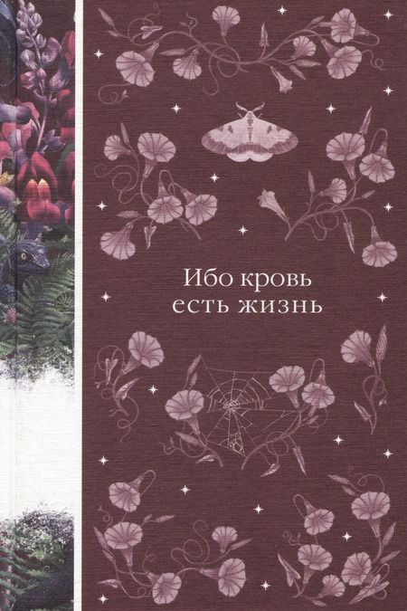 Фотография книги "Ле, Стокер: Набор: Бал вампиров (из 3-х книг: "Дракула", "Кармилла", "Ибо кровь есть жизнь")"