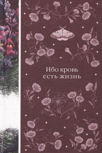 Фотография книги "Ле, Стокер: Набор: Бал вампиров (из 3-х книг: "Дракула", "Кармилла", "Ибо кровь есть жизнь")"