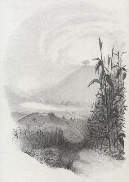 Фотография книги "Ле: Заяц и кролики"