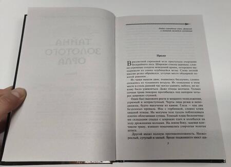 Фотография книги "Леденев: Тайна золотого орла"