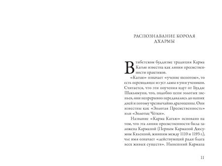 Фотография книги "Лей, Вон: Кто настоящий Кармапа. Необычное журналистское расследование"