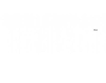 Фотография книги "Лейхтер: Временно"