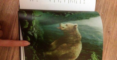 Фотография книги "Ленивый цвет"