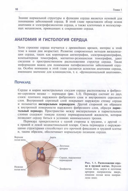 Фотография книги "Леонард Лилли: Патофизиология сердечно-сосудистой системы"