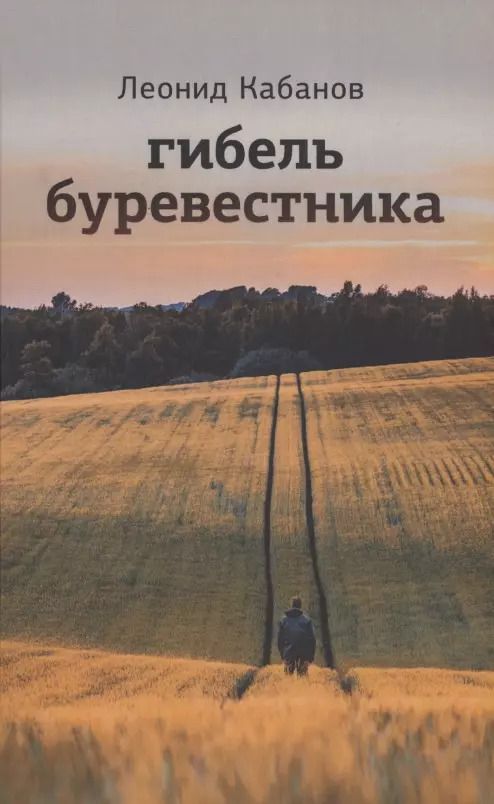 Обложка книги "Леонид Кабанов: Гибель буревестника"