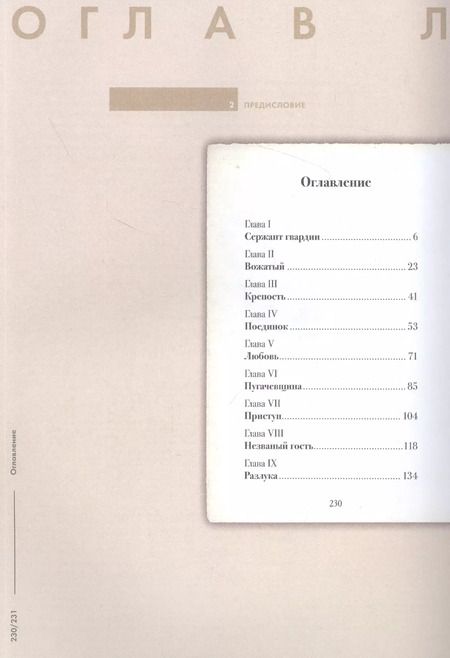 Фотография книги "Леонид Рожников: Подробный иллюстрированный комментарий к роману А.С. Пушкина "Капитанская дочка""